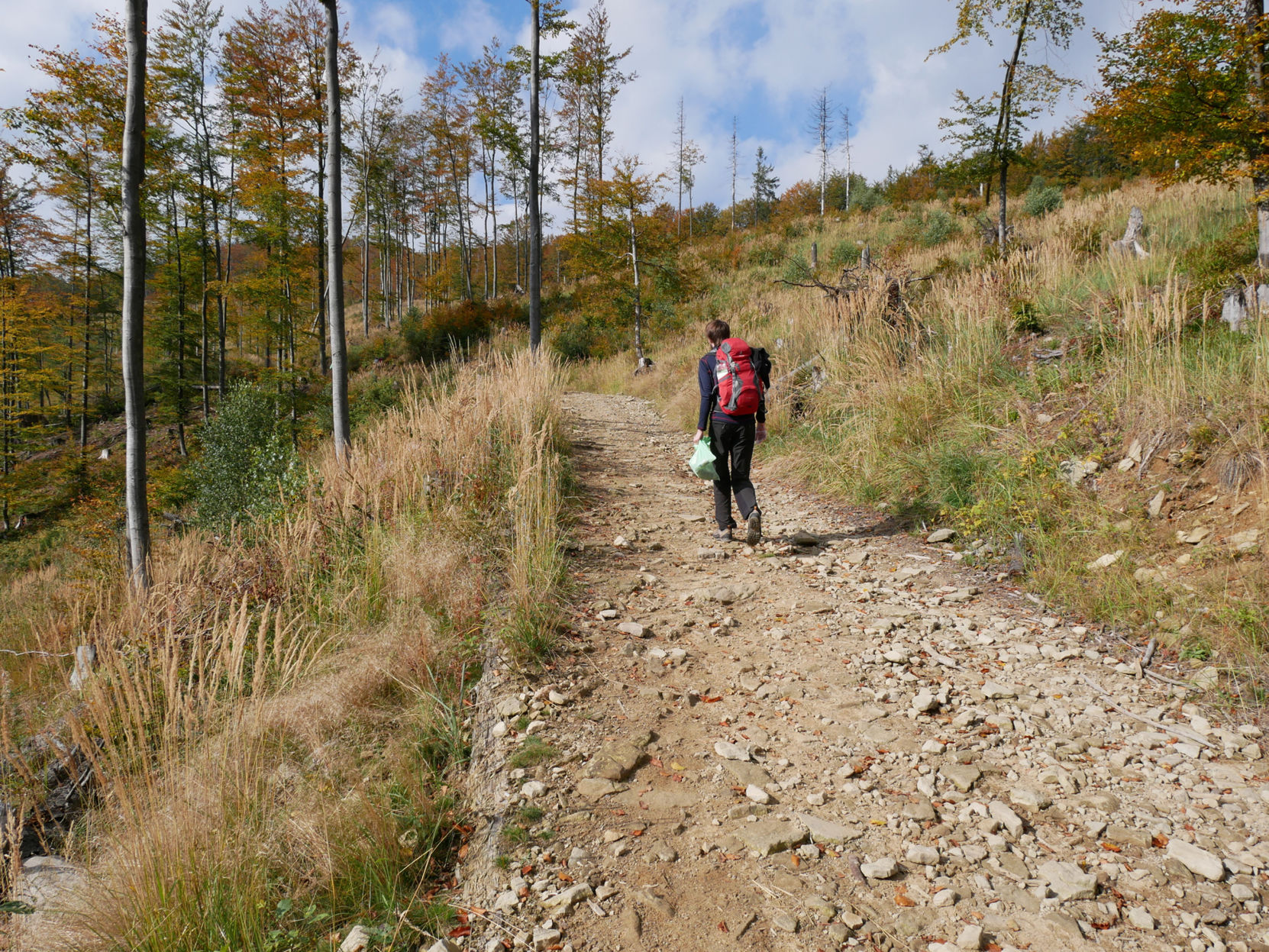 Stay on the trail